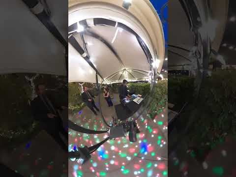 A little bit of HEY HOOOO action. So much fun at @srodholm and Jason’s wedding. Weddings are my