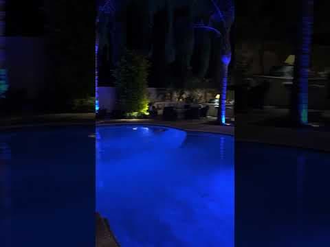 Reception Package w Dancelight & 16 Uplights